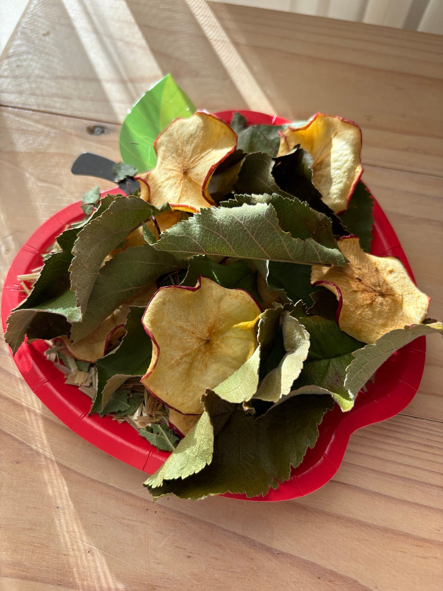 Apple forage plate
