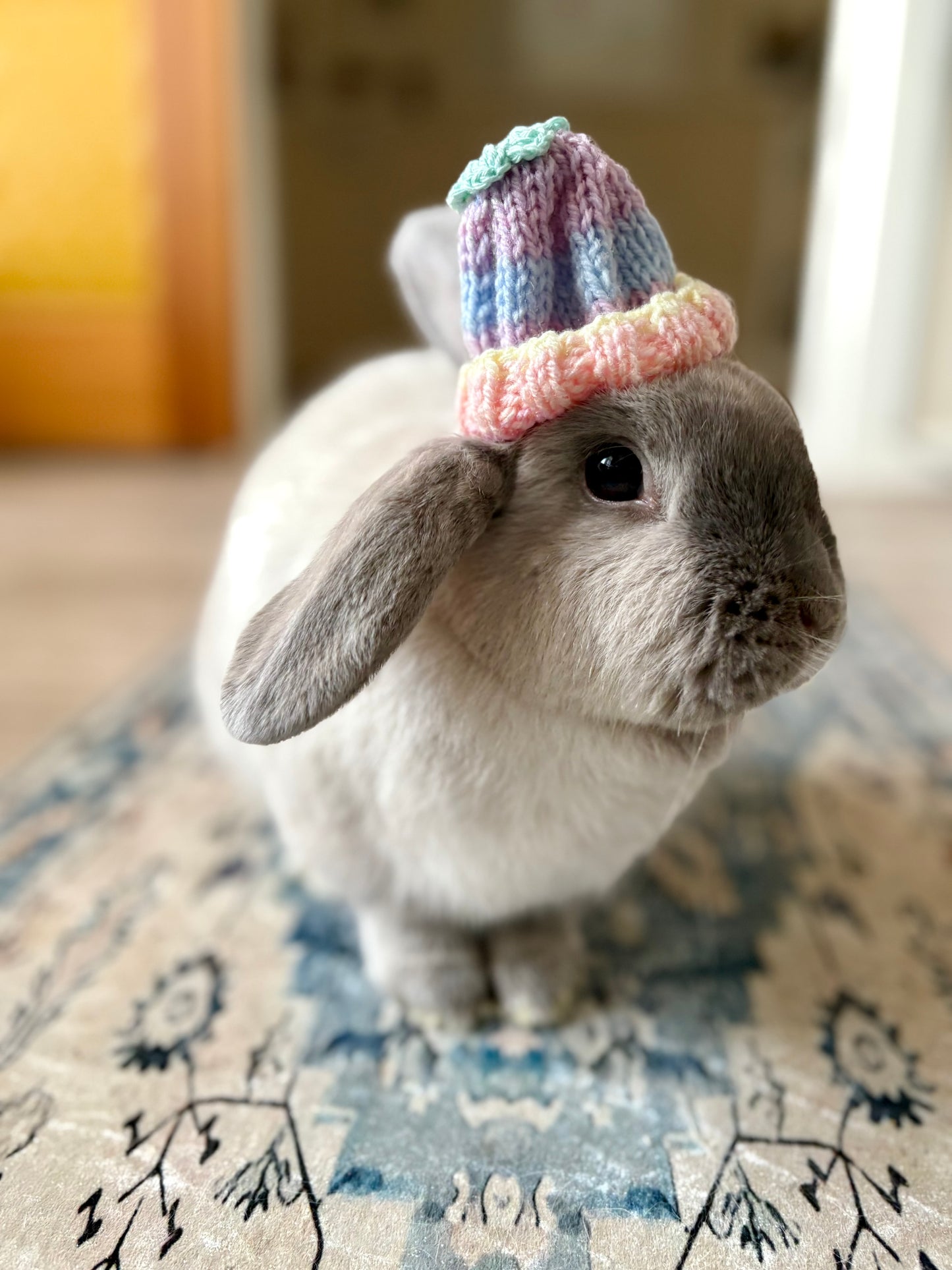 Hoppy Hats