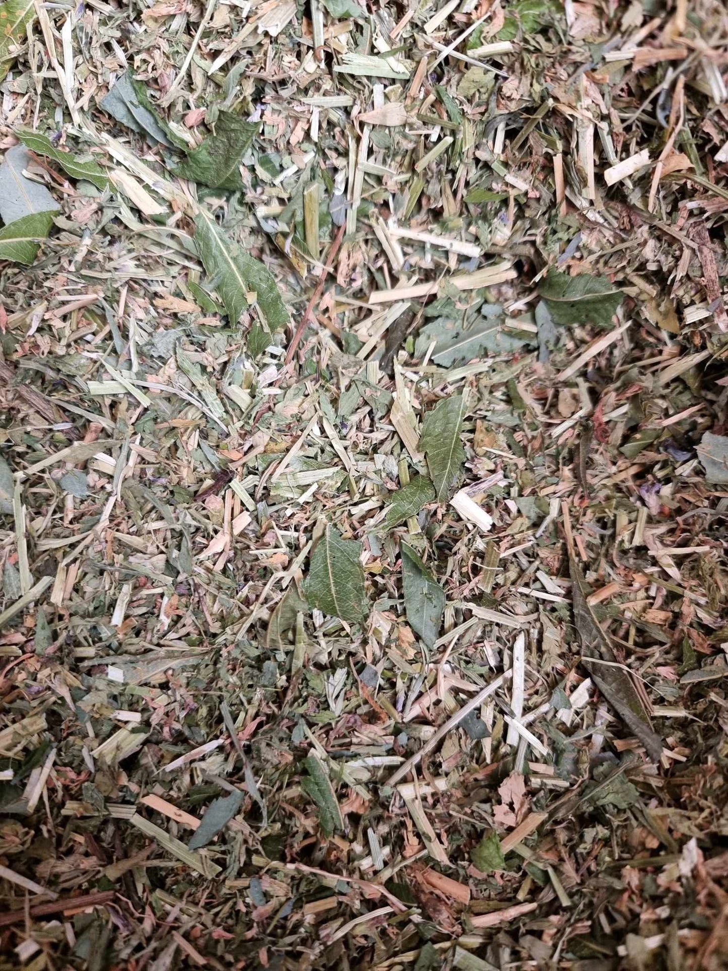 Italian Blend Forage