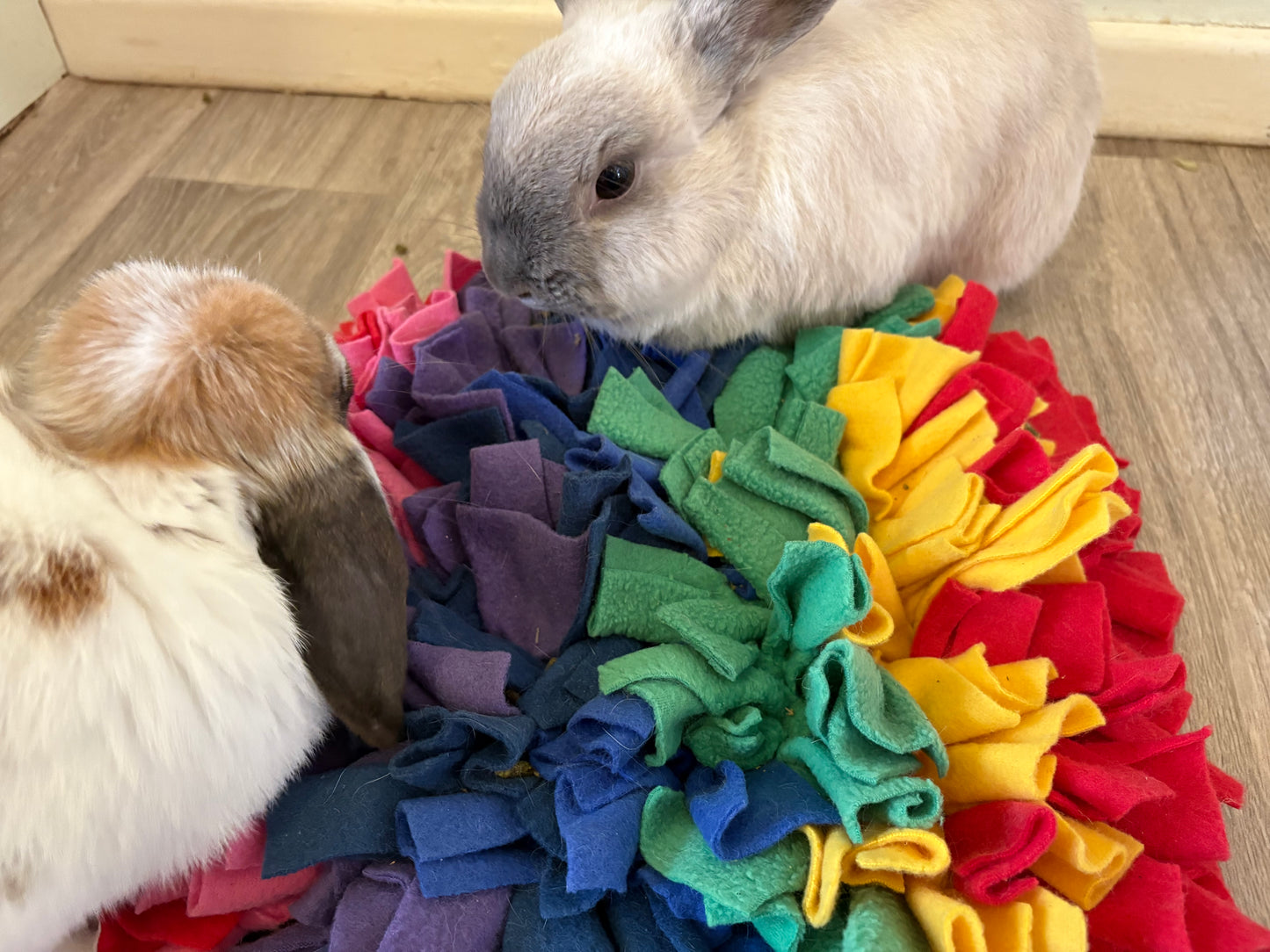 Snuffle Mat