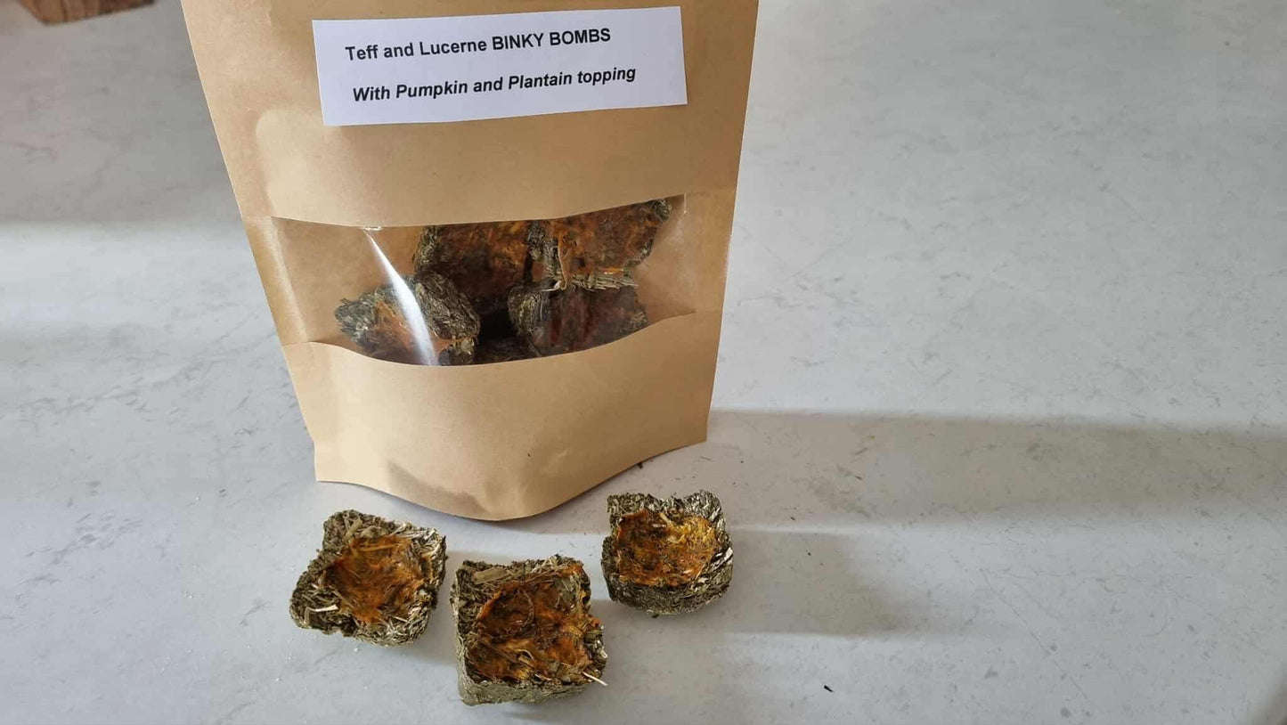 Binky Bomb Treat - Pumpkin & Plantain
