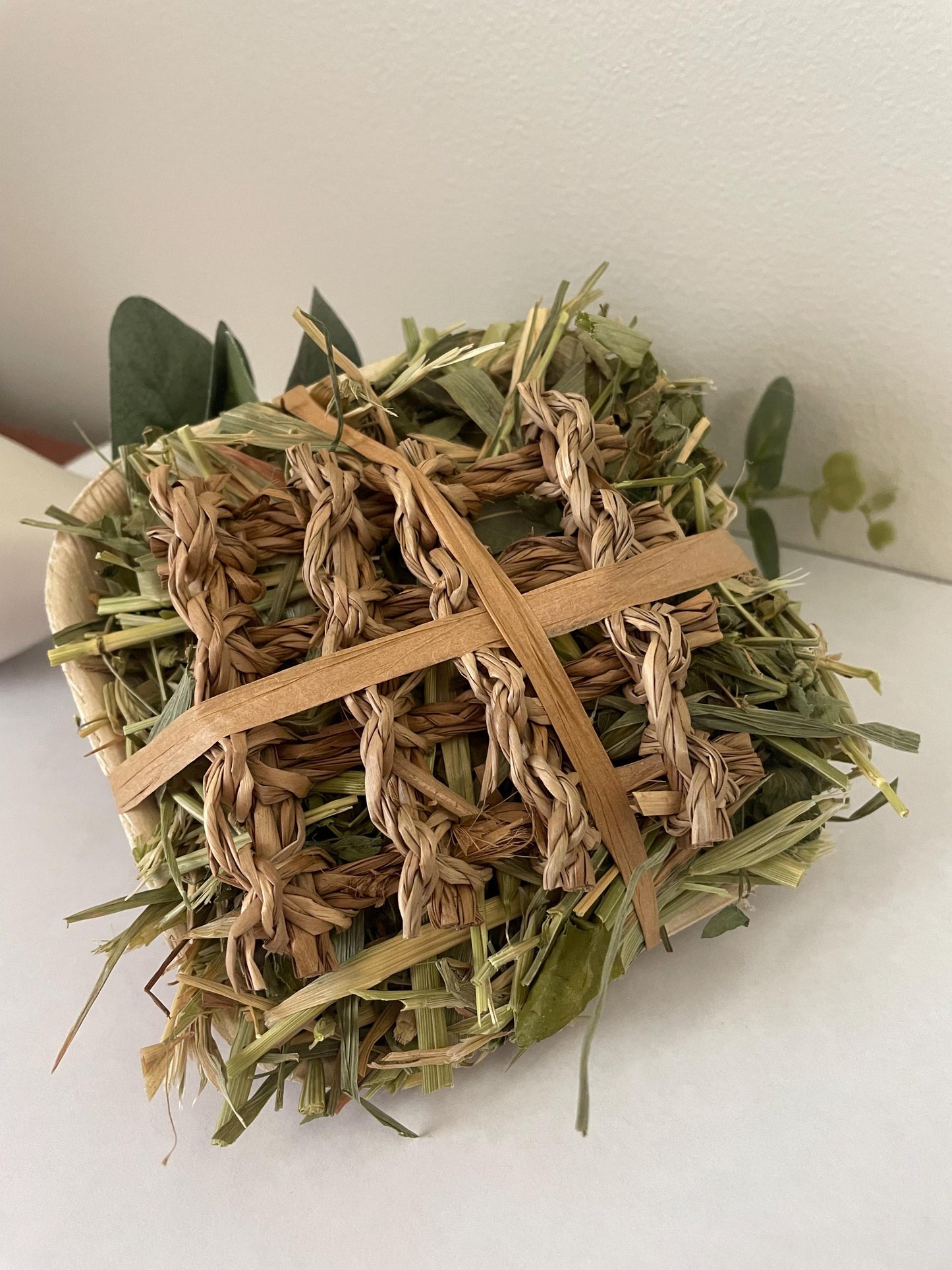 Fun Plate - Apple & Willow