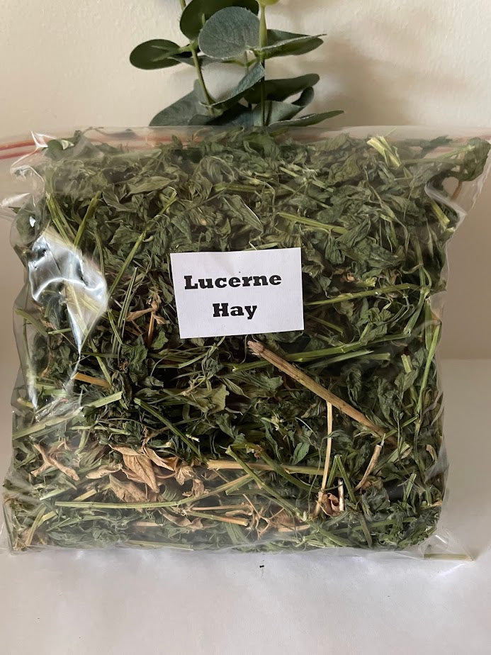 Lucerne hay - 100g