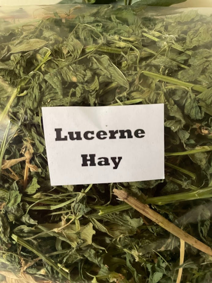Lucerne hay - 100g