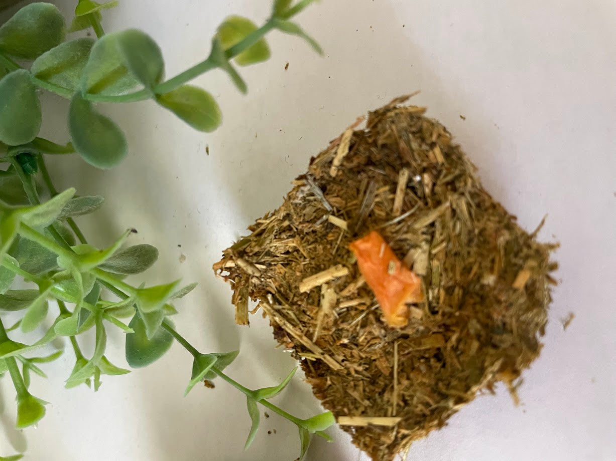 Hay Munchies - Papaya