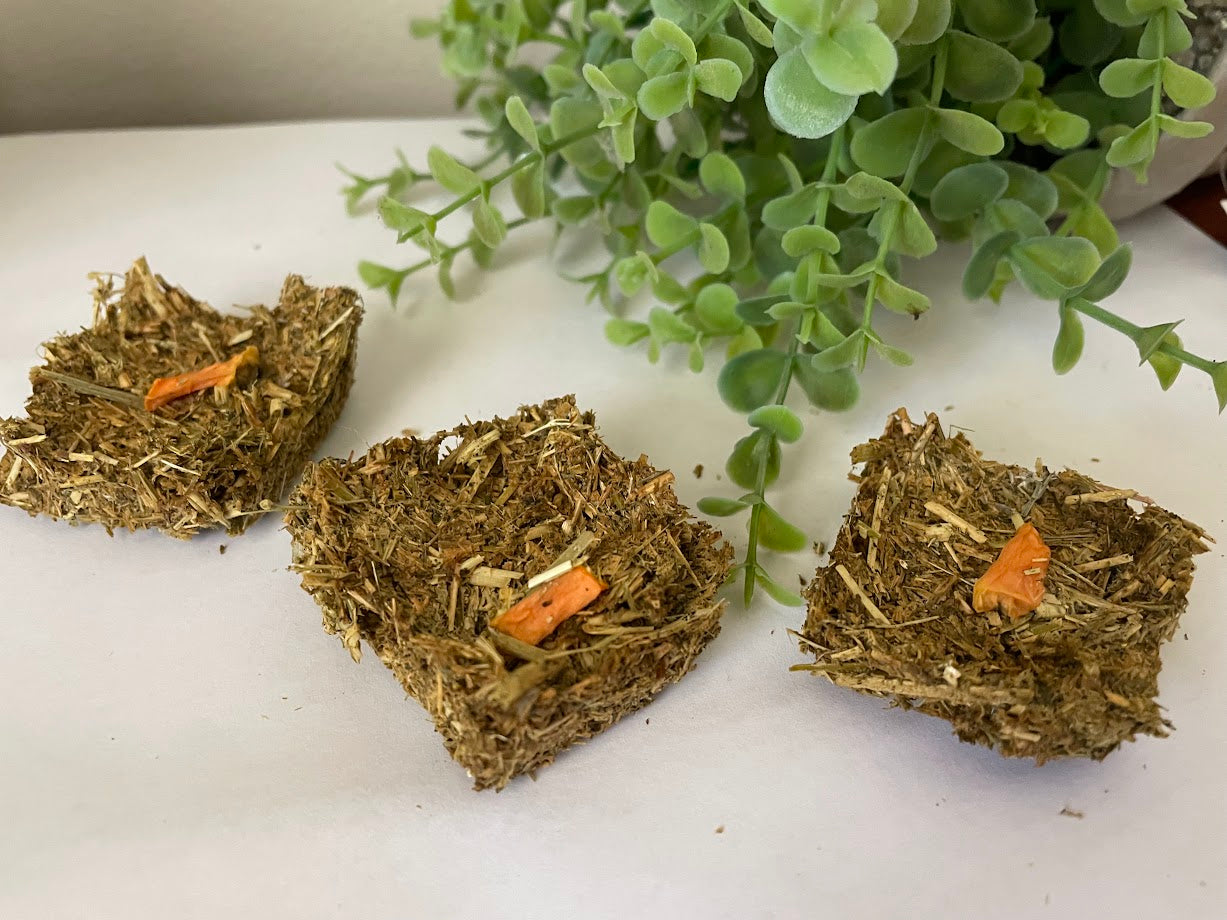 Hay Munchies - Papaya