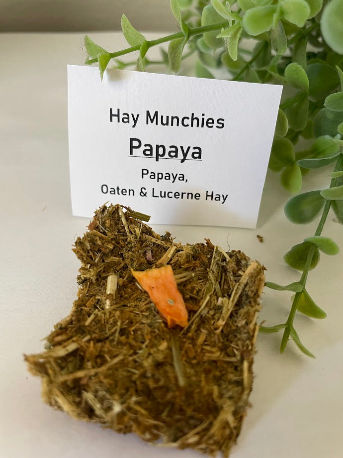 Hay Munchies - Papaya