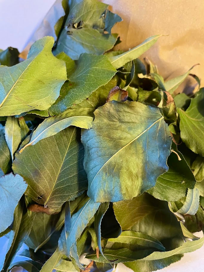 Forage Pear & Willow Leaf