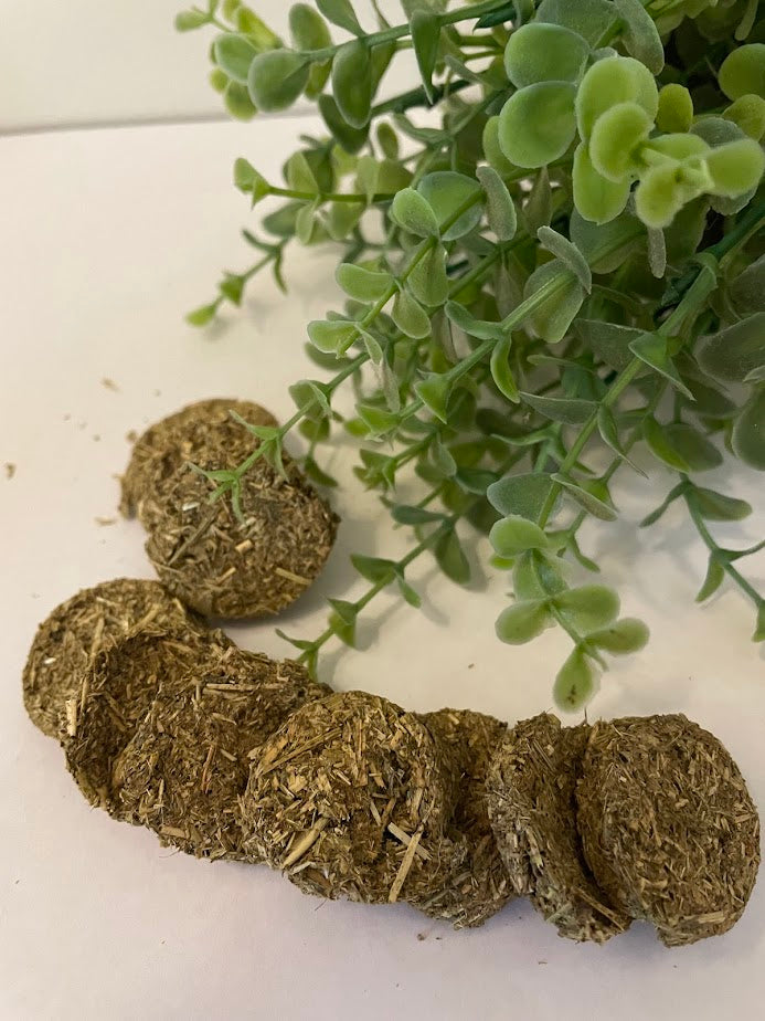 Pear Mature Bunny Cookies