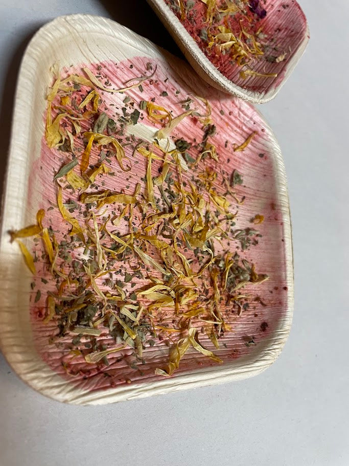 Chew Plate Strawberry