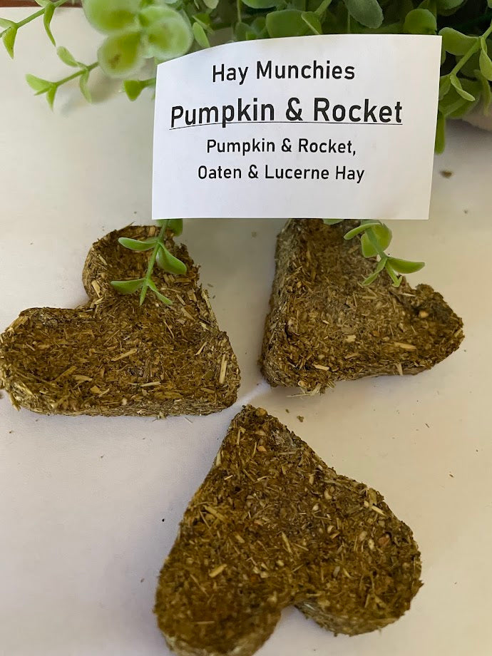 Hay Munchies - Pumpkin & Rocket