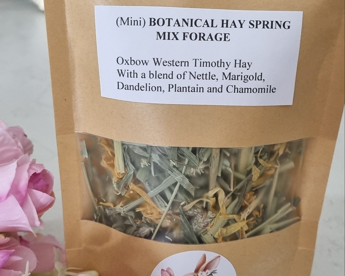 Botanical Hay - Mini Forage Pack - Spring Mix