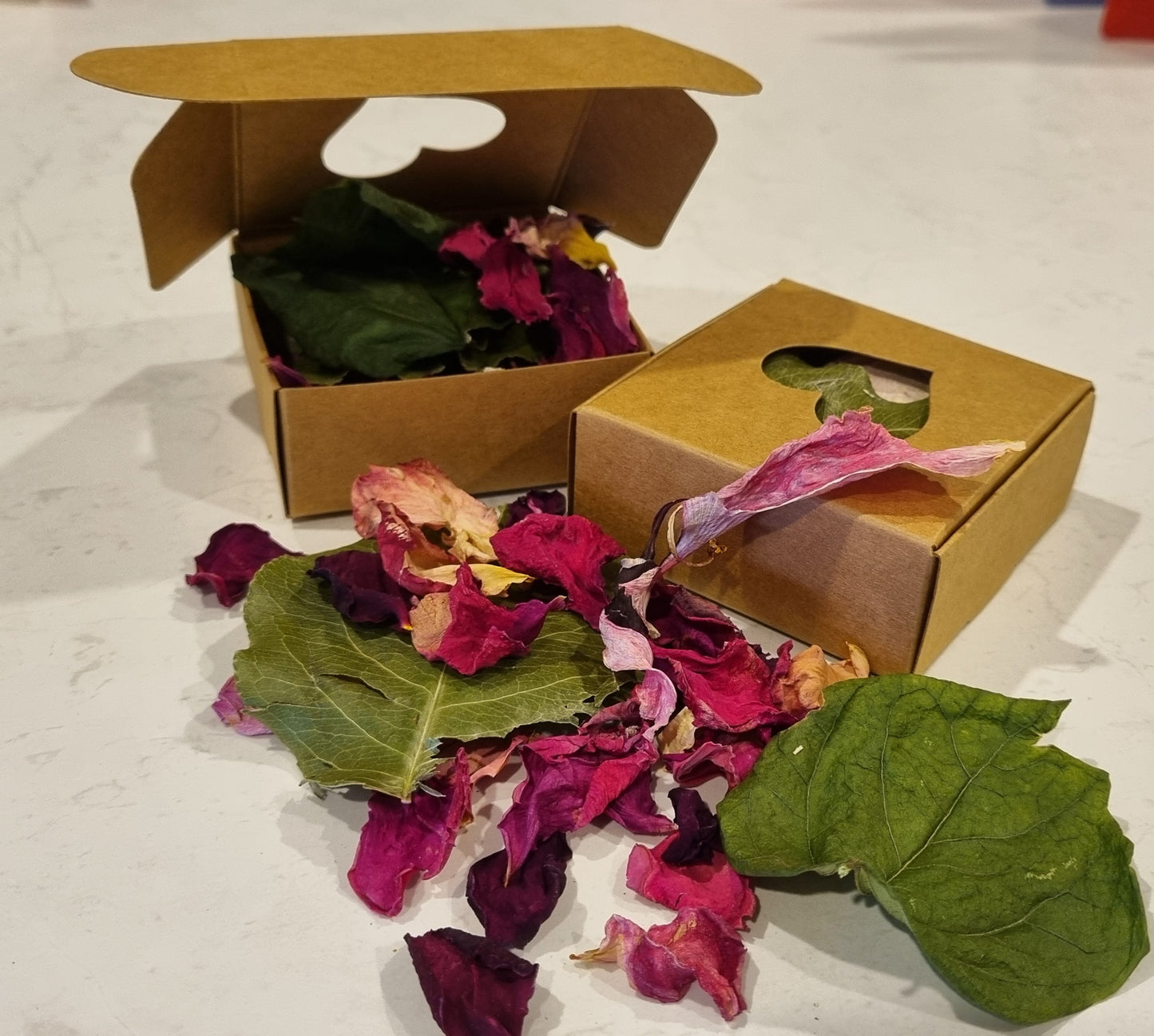 Pear, Rose and Hibiscus Forage Box