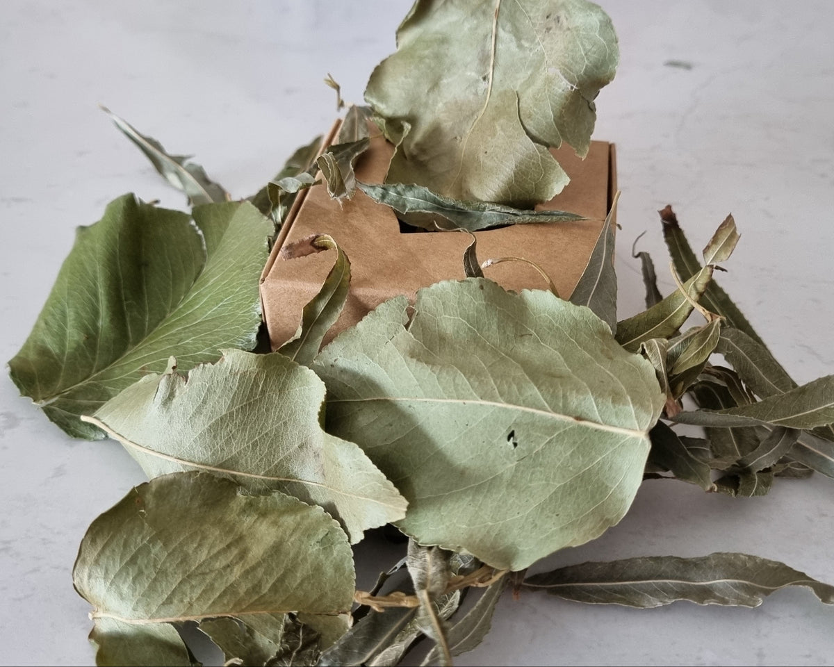 Pear and Willow forage boxes (p)