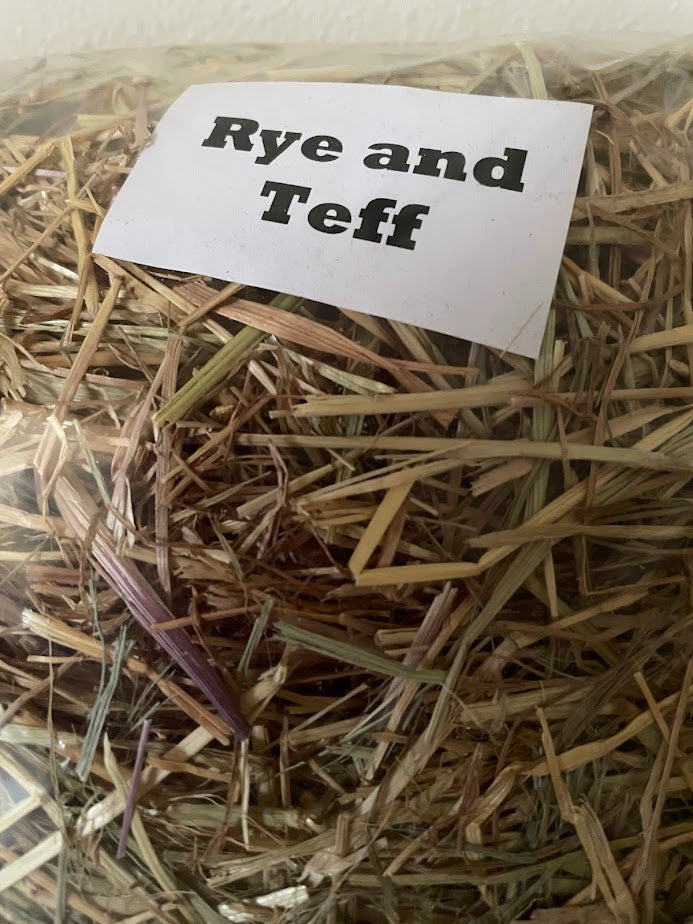 Rye & Teff Hay 100gm