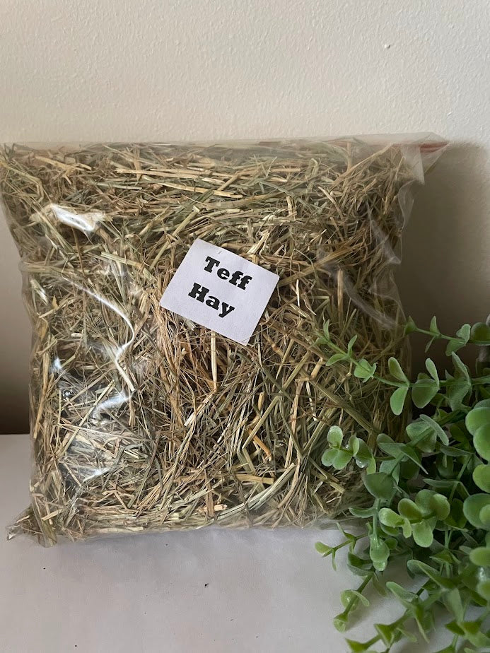 Teff Hay 100gm