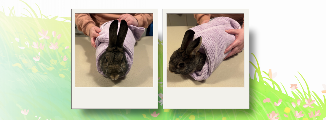 The "bunny burrito" wrapping method