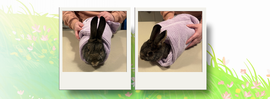 The "bunny burrito" wrapping method