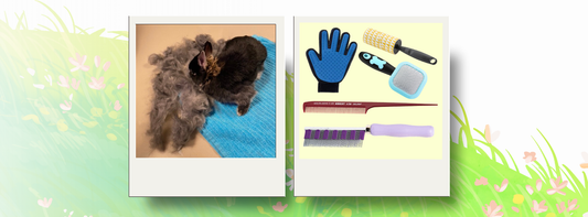 Grooming & shedding tips