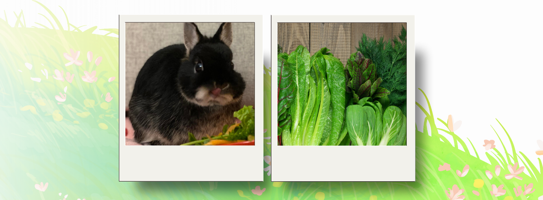 Rabbit safe fruits & vegetables