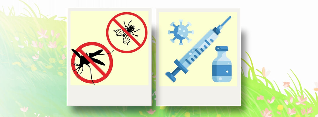 The importance of vaccinations