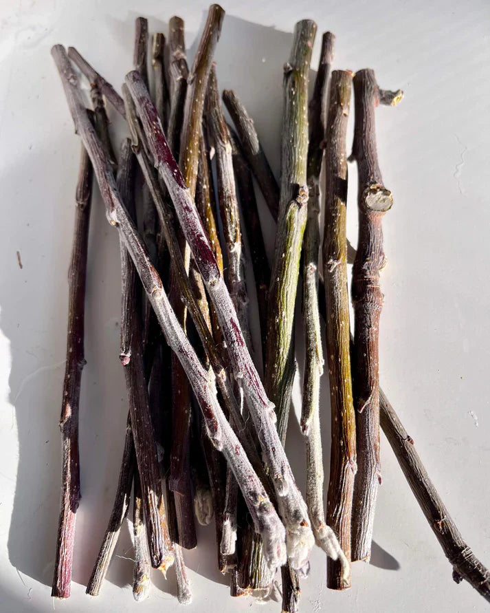 Forages, Leaves, Sticks & Hays