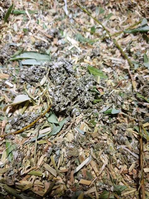 Chaff Forage with Willow and Raspberry Leaf 100g
