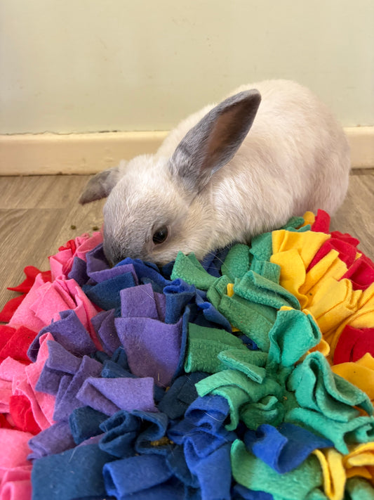 Snuffle Mat
