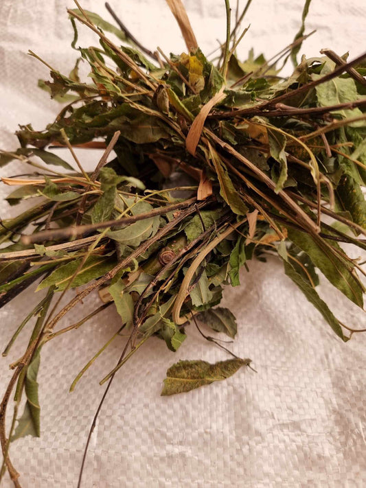 Willow stick leafy bunch
