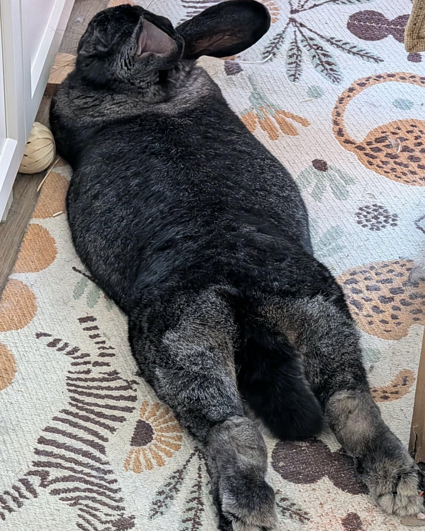 Hera