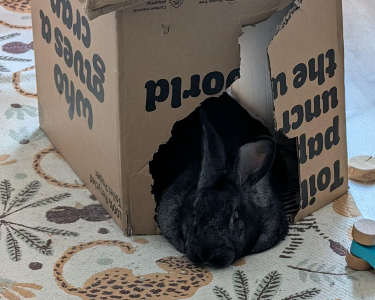 Hera