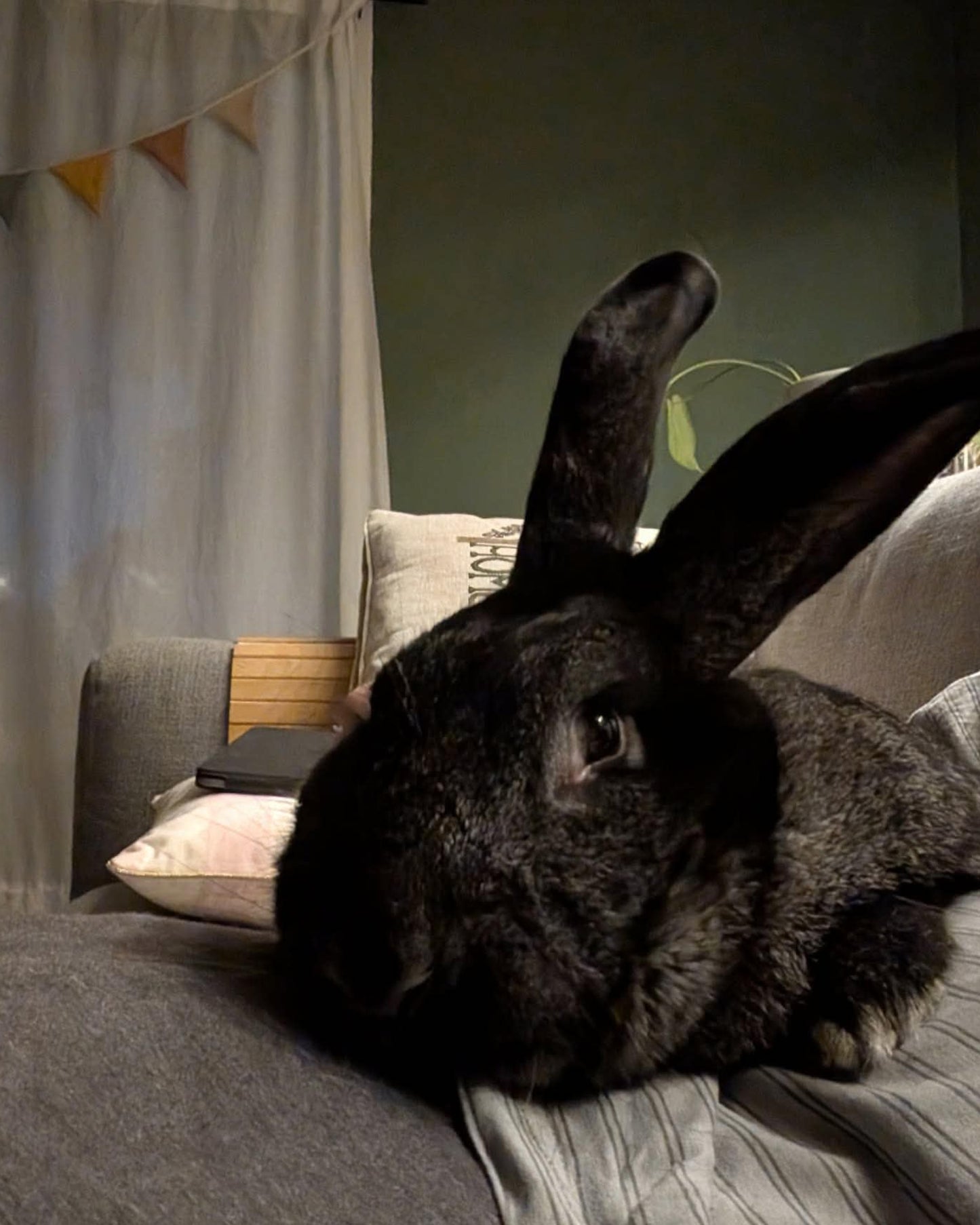 Hera
