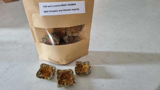 Binky Bomb Treat - Pumpkin & Plantain