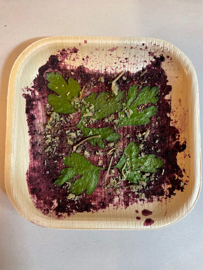 Chew Plate Blueberry