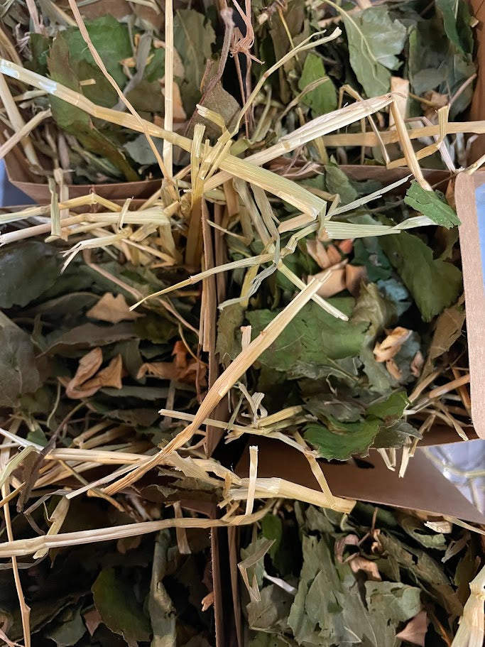 Forage House -  Apple (with Barwon Timothy & Grass Hays)