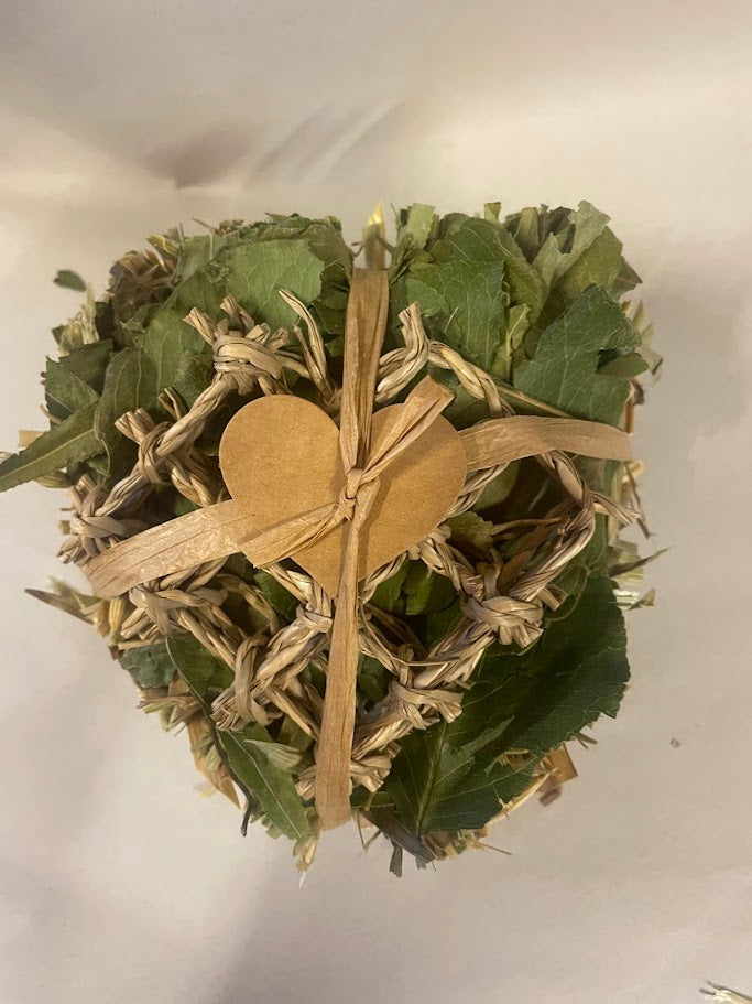 Fun Plate Apple, Pear & Willow Leaf