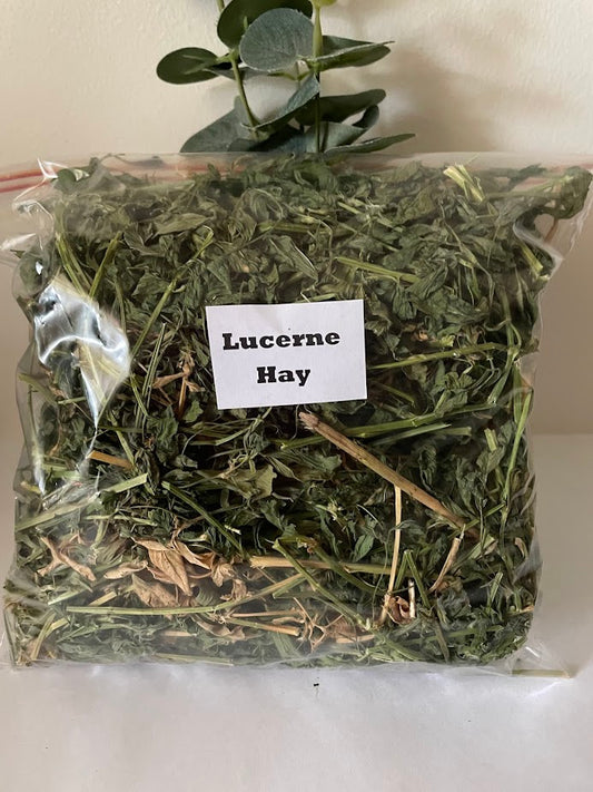 Lucerne hay - 100g