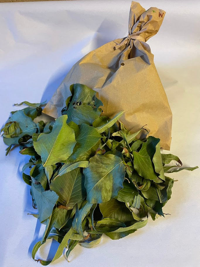 Forage Pear & Willow Leaf