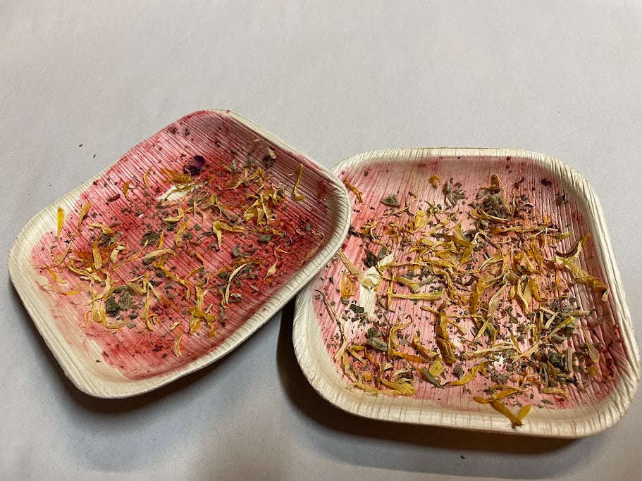 Chew Plate Strawberry