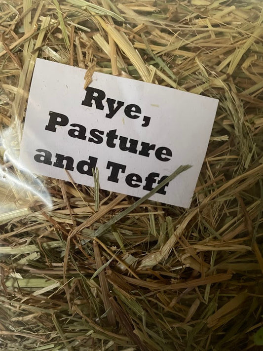 Rye, Pasture & Teff Hays 100gm